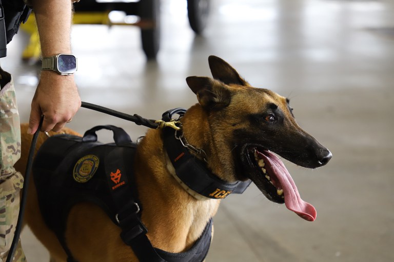 PF apreende 2,4 kg de cocaína em bagagem de passageiro alemão no Aeroporto de Natal